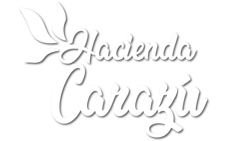 Terratica - Hacienda Carazú