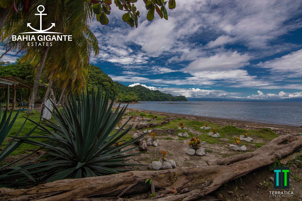Terratica - Bahía Gigante