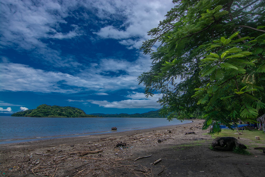 Terratica - Bahía Gigante