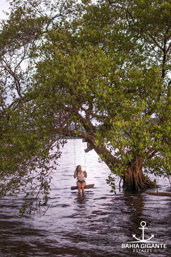 Terratica - Bahía Gigante