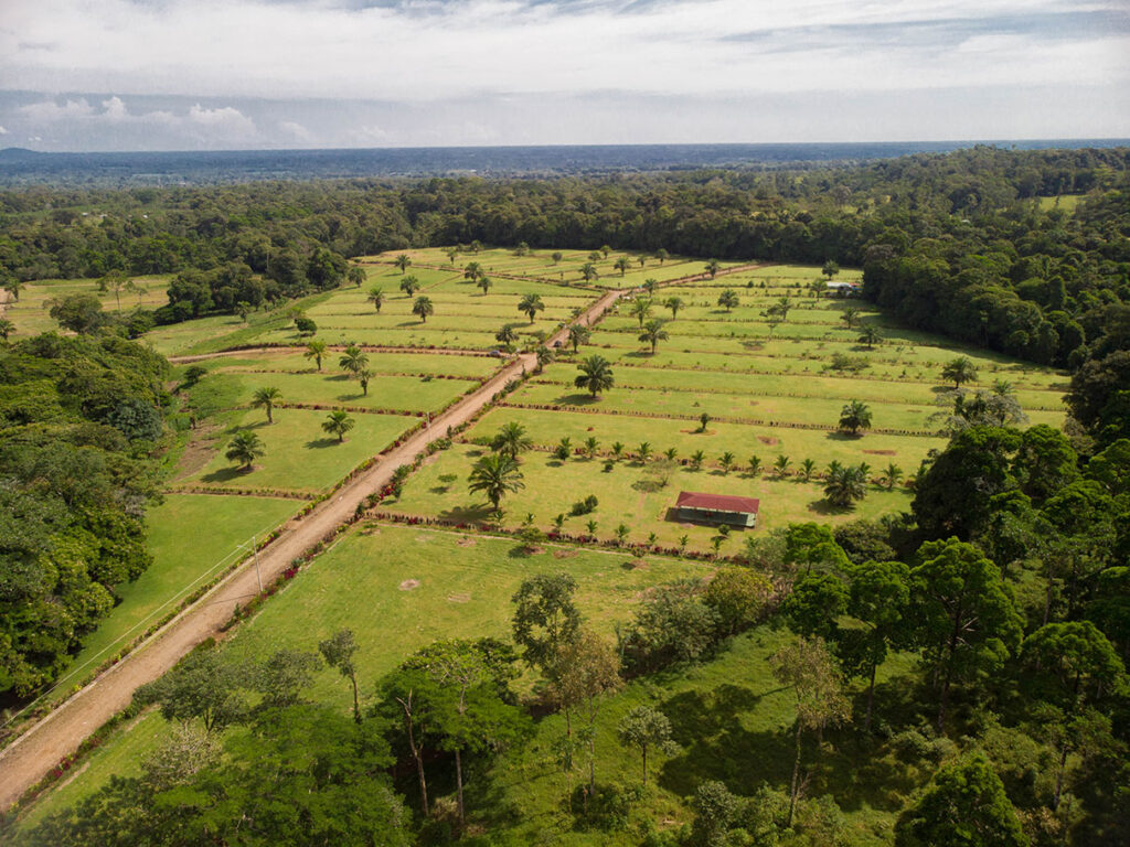 Natural Earth Quintas