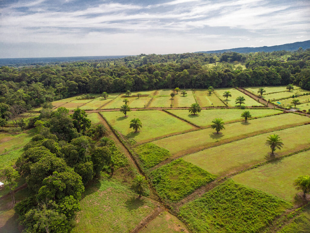 Natural Earth Quintas