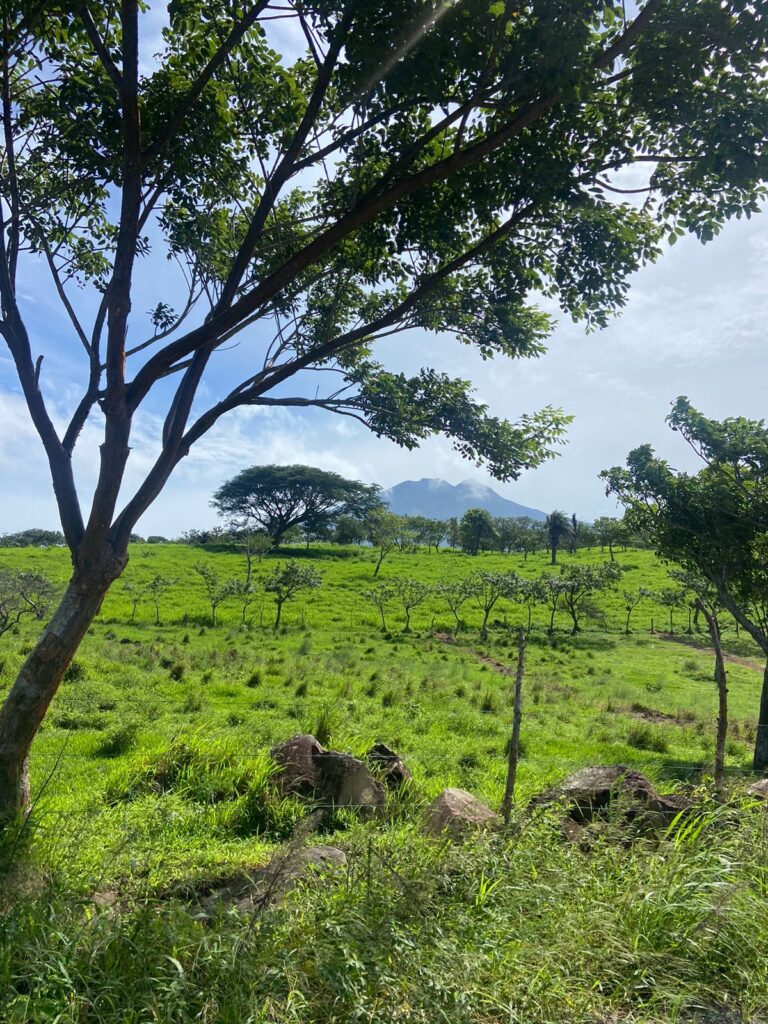 Proyecto Vistas Del Volcán