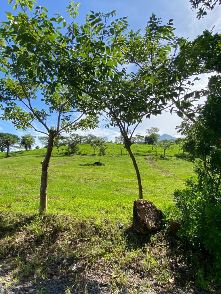 Proyecto Vistas Del Volcán