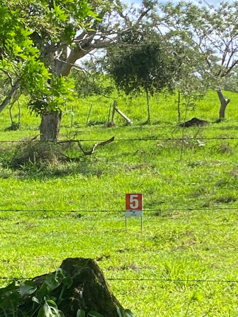 Proyecto Vistas Del Volcán