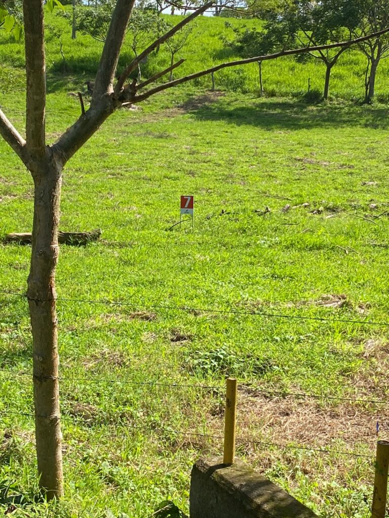 Proyecto Vistas Del Volcán