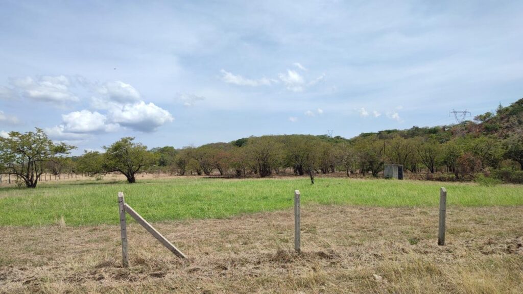 Proyecto Quintas Del Arrollo