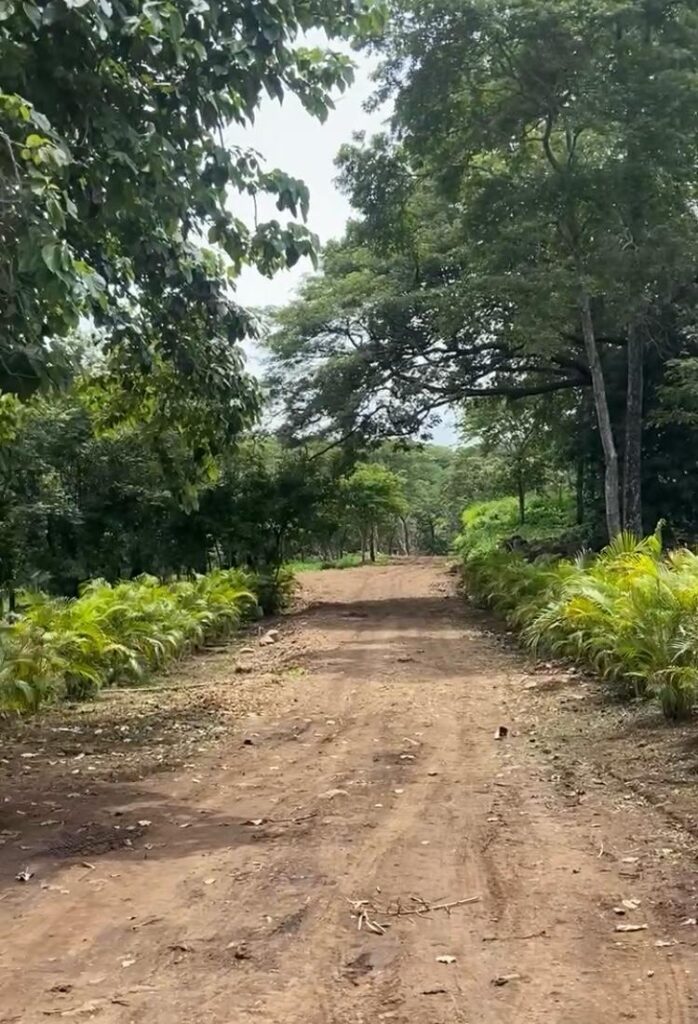 Faldas del Miravalles