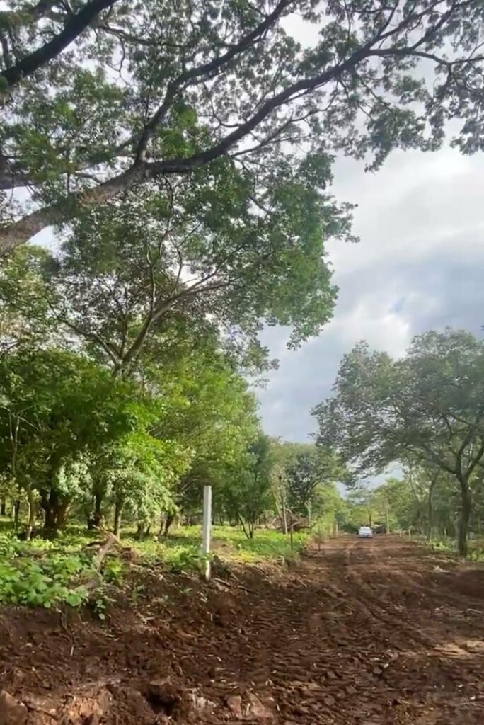 Faldas del Miravalles